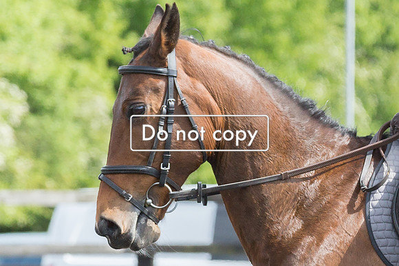 _MGL1076a