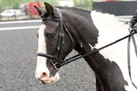 Bridle No.11