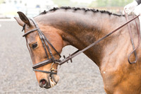 Bridle No.38