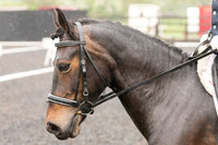 Bridle No.23