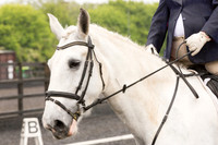 Bridle No.33
