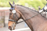 Bridle No.3
