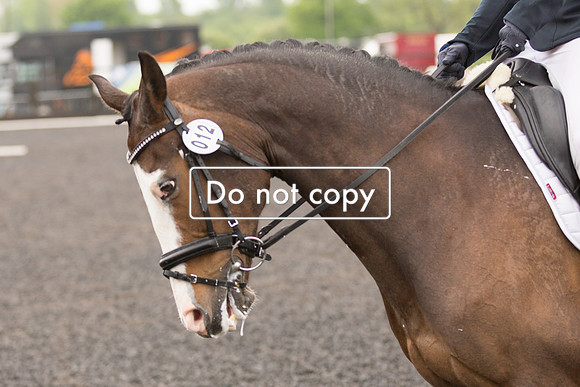 _54A4531