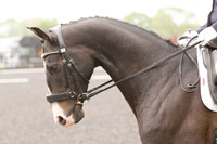 Bridle No.30