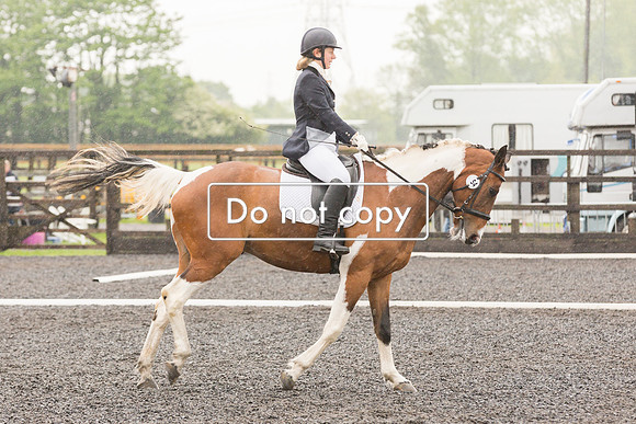 _54A4562