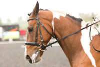 Bridle No.54