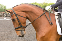 Bridle No.22