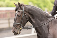 Bridle No.1