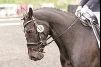 Bridle No.18