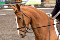 Bridle No.55
