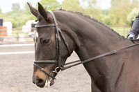 Bridle No.14