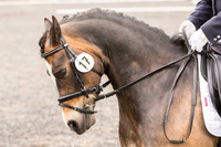 Bridle No.17