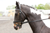 Bridle No.15