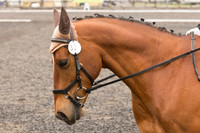 Bridle No.32