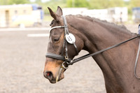 Bridle No.45