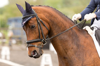 Bridle No.20