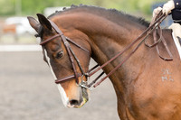Bridle No.25