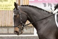 Bridle No.44