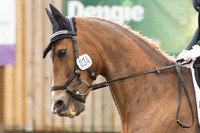 Bridle No.34