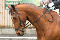 Bridle No.47