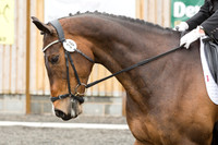 Bridle No.36