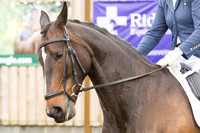 Bridle No.19
