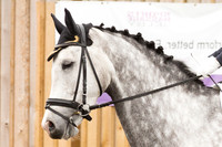 Bridle No.40