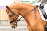 Bridle No.21