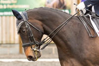 Bridle No.2