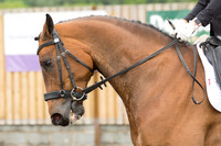 Bridle No.26