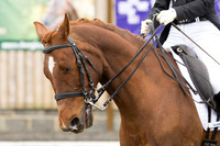 Bridle No.8