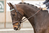 Bridle No.41