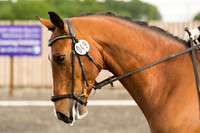 Bridle No.49