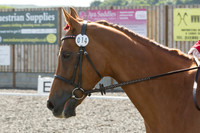 Bridle No.14