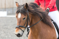 Bridle No.4