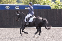 Bridle No.86