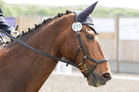 Bridle No.99