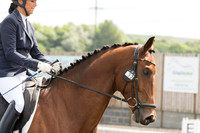 Bridle No.52