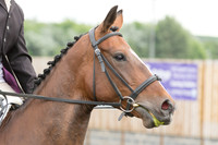 Bridle No.98