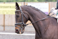 Bridle No.84