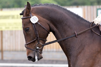 Bridle No.104