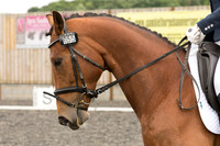 Bridle No.55