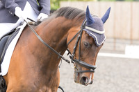 Bridle No.74
