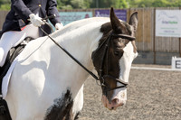 Bridle No.73