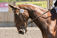 Bridle No.70
