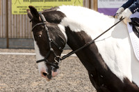 Bridle No.83