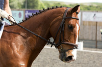Bridle No.105