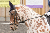 Bridle No.87