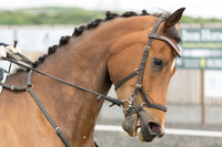 Bridle No.59