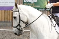 Bridle No.63